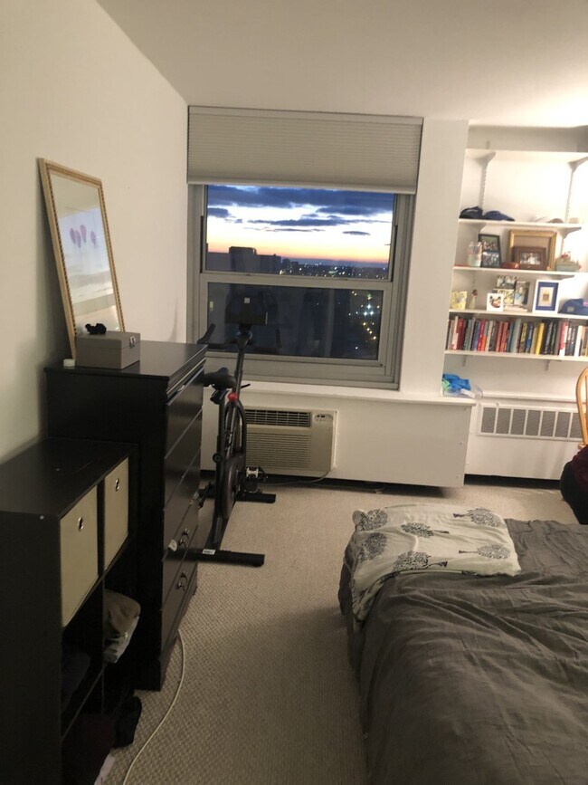 Photo - 1255 N Sandburg Ter Apartment