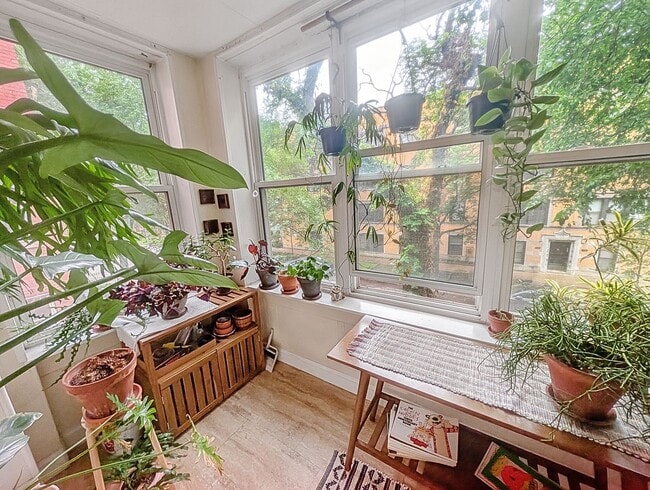 Building Photo - Large and Bright 1-bed/1-bath in Edgewater - Close to LUC!