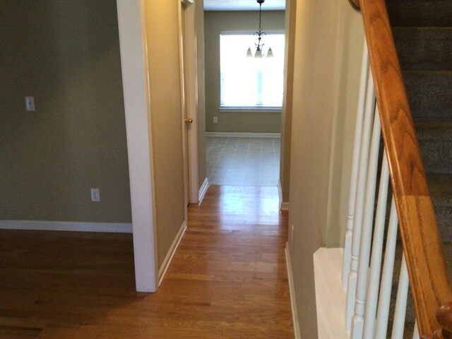 Building Photo - 19 Killarney Lane