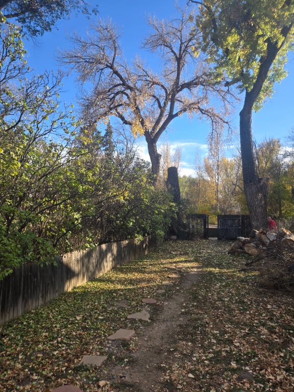 Building Photo - 630 E St Vrain St