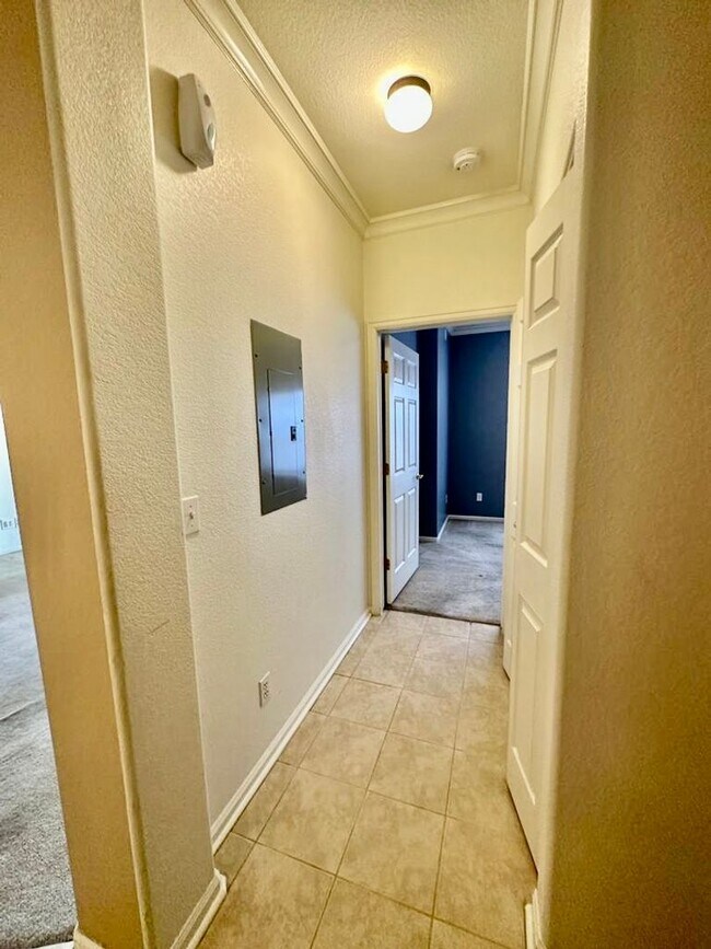 Foto del edificio - 2-bedroom  condo near Lowry Park your home!!!!