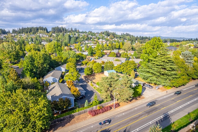Aerial Photo - 10895 SW Meadowbrook Dr