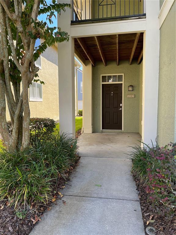 4007 Sand Palm Ct, Tampa, FL 33624 Townhome Rentals in Tampa FL