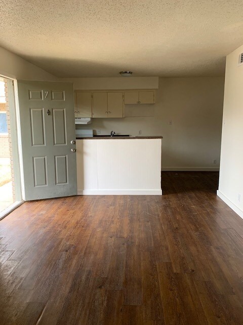 Large Open Living Area - 313 Thomas St