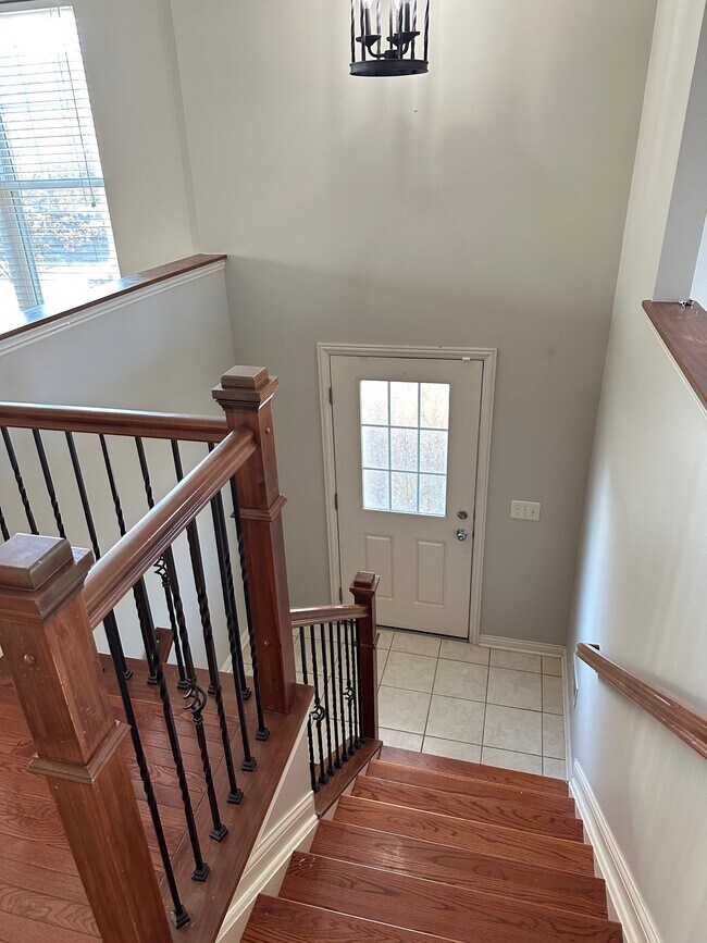 2843 Acarie Dr, Columbus, OH 43219 House Rental in Columbus, OH