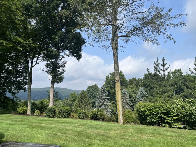 View from private/entrance on patio - 205 Lexington Ct