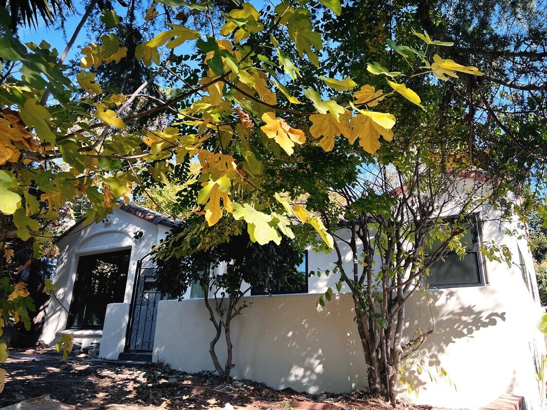 Primary Photo - 2411 Ivanhoe Dr