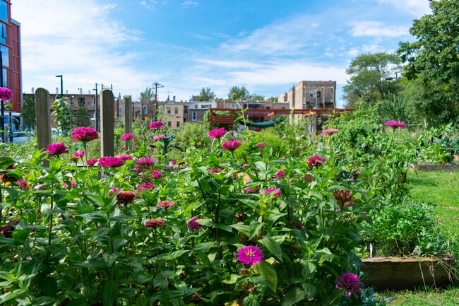 A view of the skyline from a neighborhood park