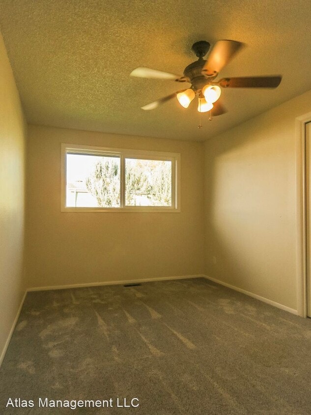 Primary Photo - 3 br, 2 bath House - 4055 47th Ave NE