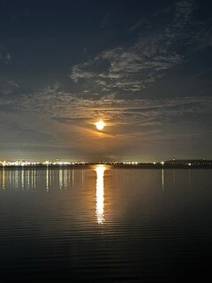 Foto del edificio - 4950 Bayshore Blvd