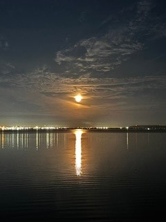 Building Photo - 4950 Bayshore Blvd