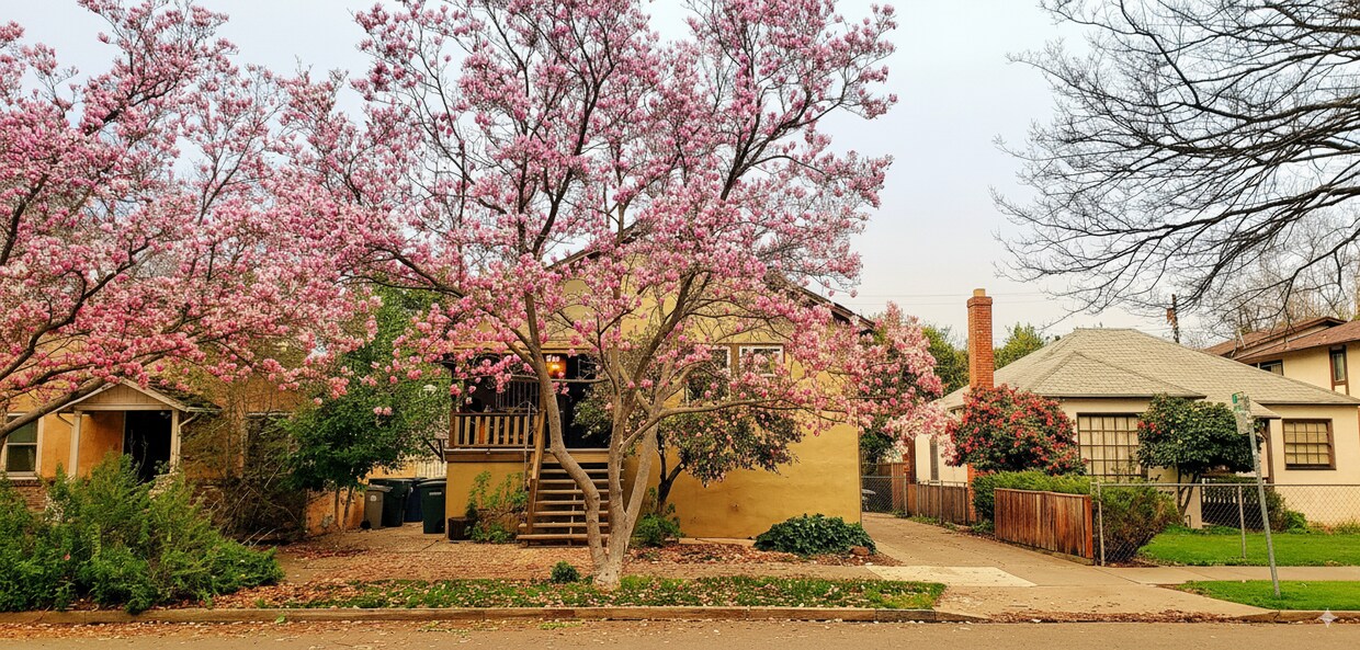 Vista de la calle U - 1313 U St