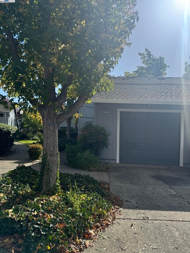 Foto del edificio - 4207 Sheldon Cir