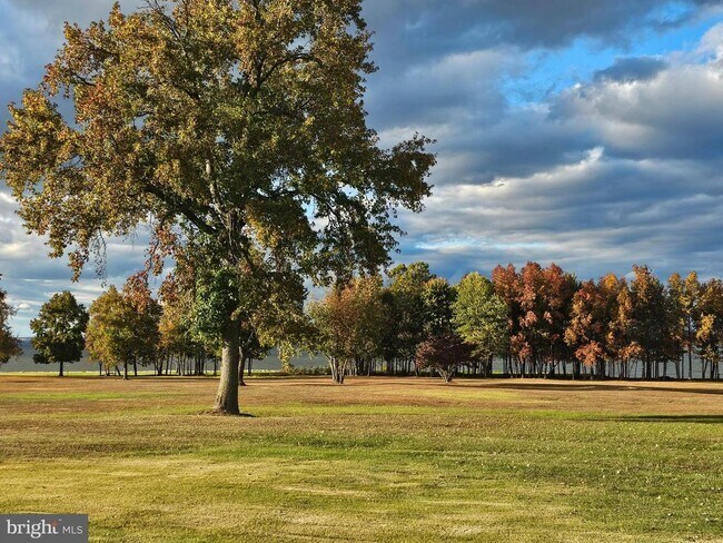 Foto del edificio - 82 Basin Rd