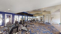 This fitness center is designed to support a comprehensive workout experience across a spacious, single-floor layout. The facility is divided into distinct zones, each tailored to a specific type of training. The main workout area features vaulted ceilings with ceiling fans, bold cobalt blue accent walls, and large floor-to-ceiling windows and glass doors that flood the space with natural light and offer views of the surrounding outdoor areas. A bank of wall-mounted flat-screen televisions lines the blue feature wall above the windows, adding to the energetic atmosphere.

The cardio zone is well-stocked with treadmills, elliptical machines, and stationary bikes, all positioned to take advantage of the natural light from the exterior-facing windows. Adjacent to this area, a dedicated strength training section houses a multi-station cable machine, weight benches, and free weights, with large mirrors along the walls to assist with form and enhance the sense of space.

A separate functional training area offers a more open, airy environment under high vaulted ceilings, equipped with medicine balls, stability balls, kettlebells, and cable training systems. This zone features hardwood-style flooring and direct access to the outdoors via glass doors. Throughout the facility, a distinctive blue and grey patterned carpet ties the spaces together, contributing to a cohesive and motivating aesthetic.