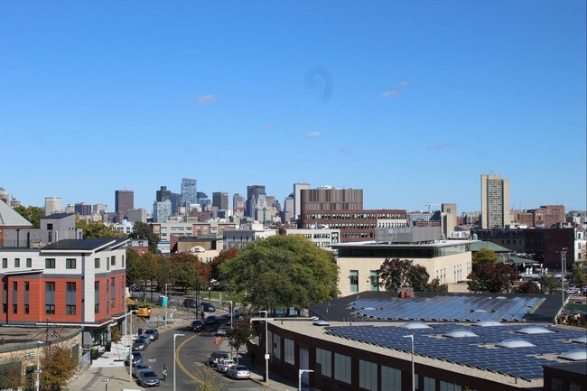 Bartlett Station Apartments Roxbury Ma Apartments Com