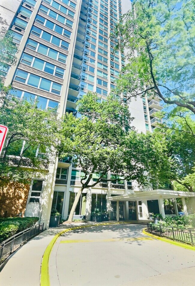 Foto del edificio - 1255 N Sandburg Terrace