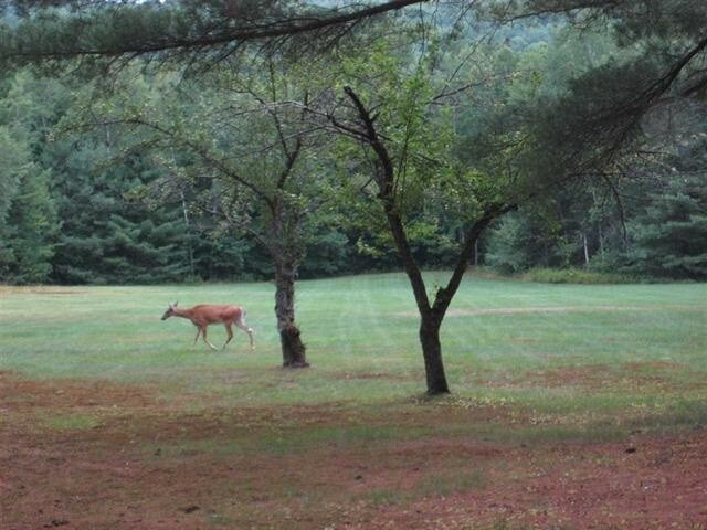 Building Photo - 22 Orris Rd