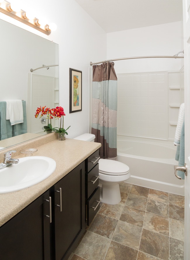 Building Photo - Talavera at the Junction Apartments & Townhomes