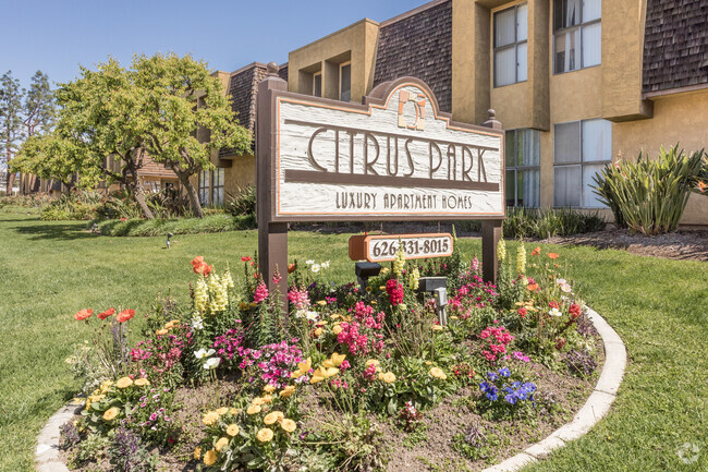 Monumento - Citrus Park Apartments