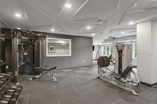 Gimnasio - Callisto Commons