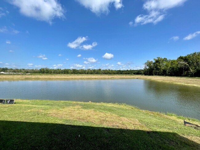 Building Photo - Waterfront home in Baton Rouge!