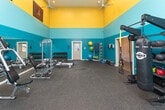 Located at 10 Rimington Lane in Decatur, Georgia, this single-floor fitness facility makes a bold visual statement with its striking teal and gold color scheme across soaring walls and ceilings. The generous open floor plan is finished with durable rubber flooring throughout, providing both safety and comfort during workouts. The space is well-lit by a combination of recessed lighting and overhead fluorescent fixtures, complemented by ceiling fans that keep the environment comfortable during intense training sessions.

The main workout area is comprehensively equipped for a full-body training experience. Cardio options include multiple treadmills and elliptical machines, each with digital displays for performance tracking. Strength training is supported by a cable machine system, a dedicated dumbbell rack spanning a wide range of weights, an adjustable bench, and a variety of functional training tools including kettlebells, medicine balls, stability balls, and TRX suspension trainers. A heavy punching bag and a wall of mirrors further enhance the training versatility of the space.

Atlanta sports team banners — including those for the Atlanta Falcons and Atlanta Braves — adorn the walls, adding a local character to the energetic atmosphere. An adjacent hallway connects to additional rooms, suggesting supporting amenities. The space presents a professional and motivating environment well-suited for serious fitness use.