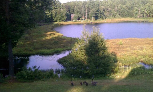 Overlooking the pond - 41 Priest Rd