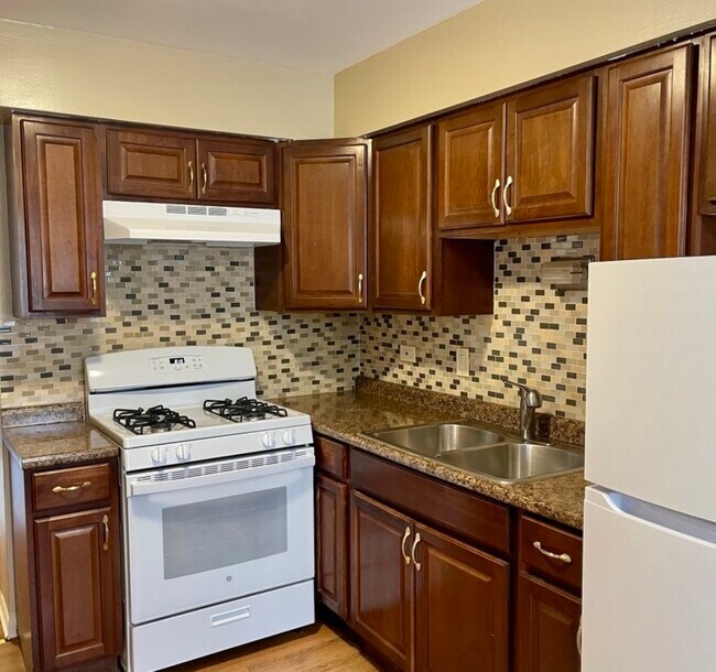 10382 Michael Todd Terrace Unit 1E, Glenview, IL 60025 Condo for Rent