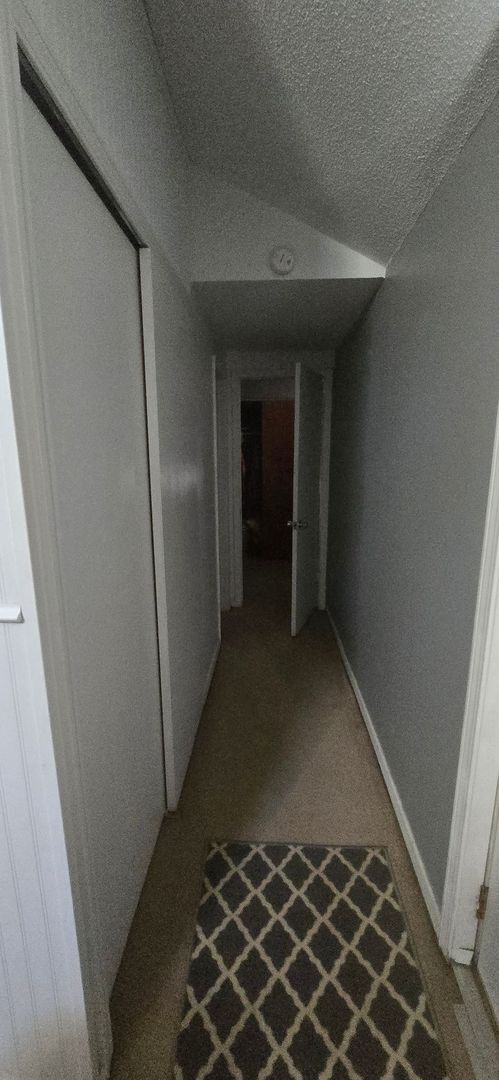 Building Photo - 2 bedroom close to campus