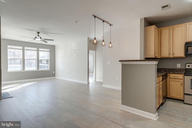 Building Photo - 22664 Blue Elder Terrace