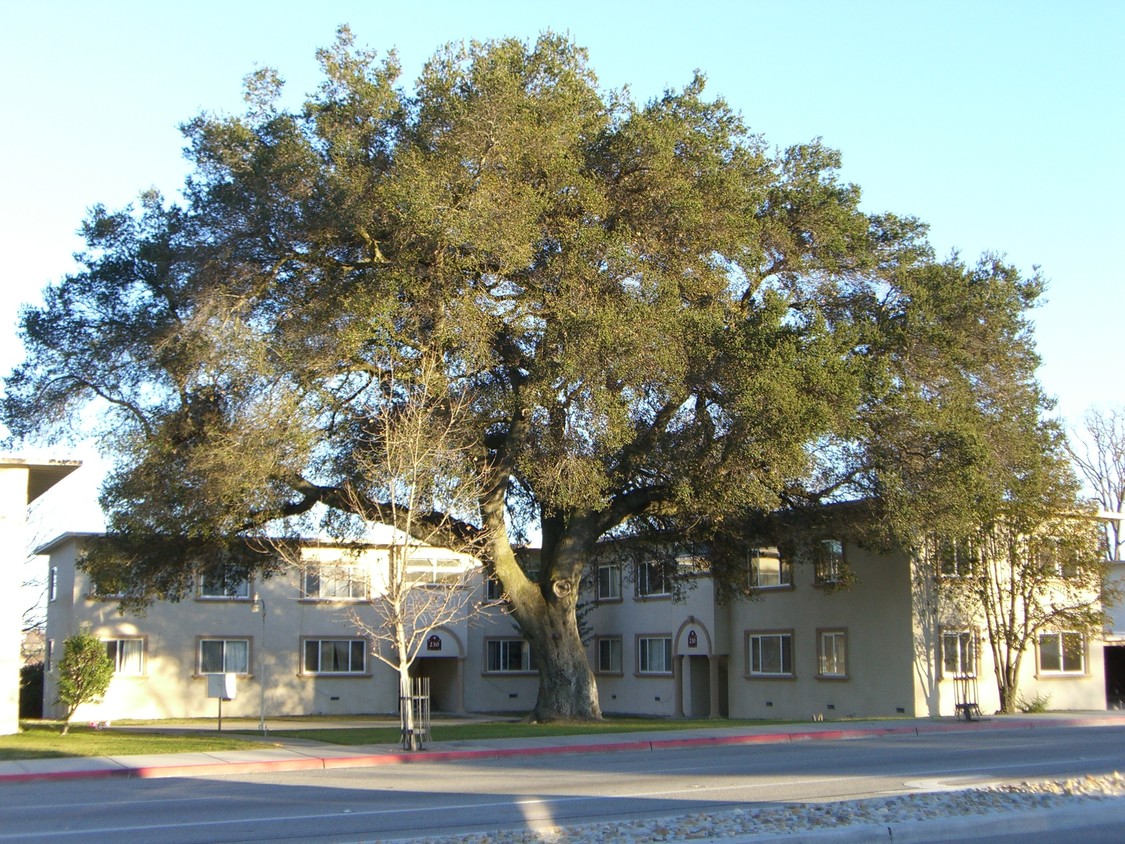 Primary Photo - Vista Robles