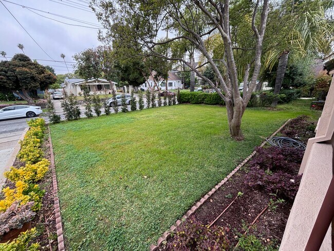 Front Lawn - 640 N Wilson Ave