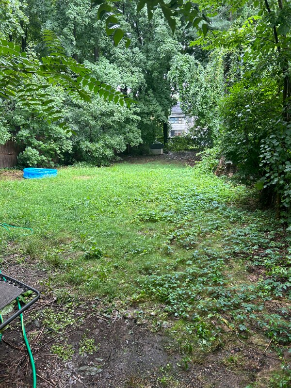 211 Norton St Unit 1st Floor, New Haven, CT 06511 Room for Rent in