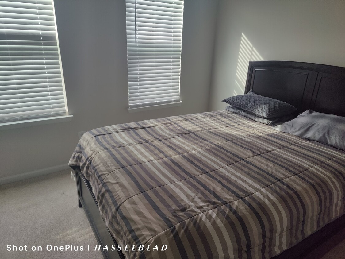 Photo - 3418 Chester Aly (Hyattsville, MD)