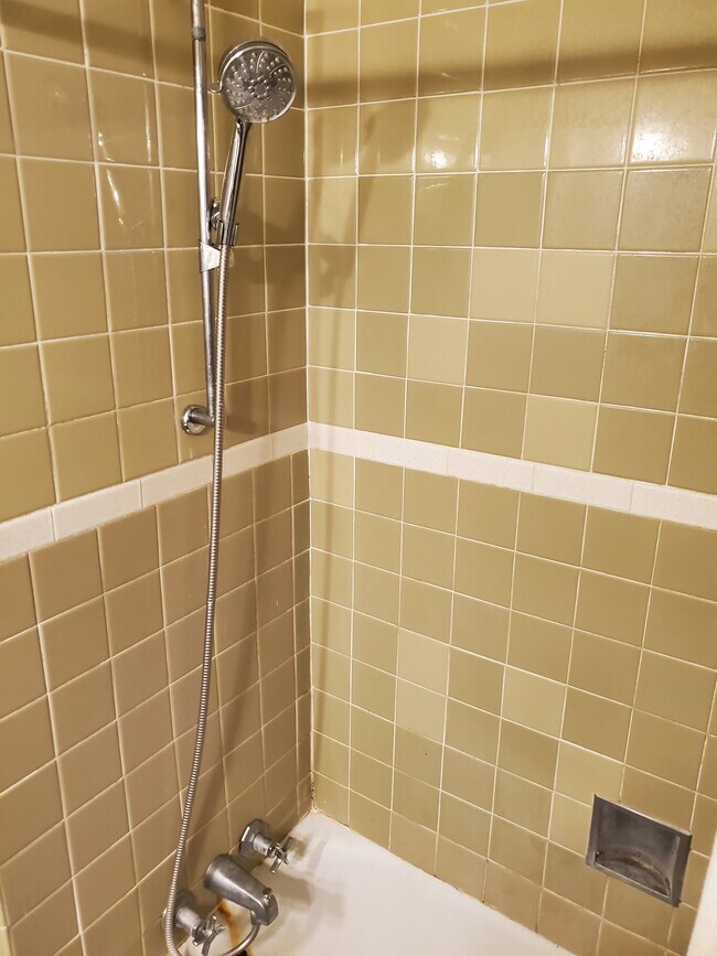 Shower - 1601 Hyde Park Ave