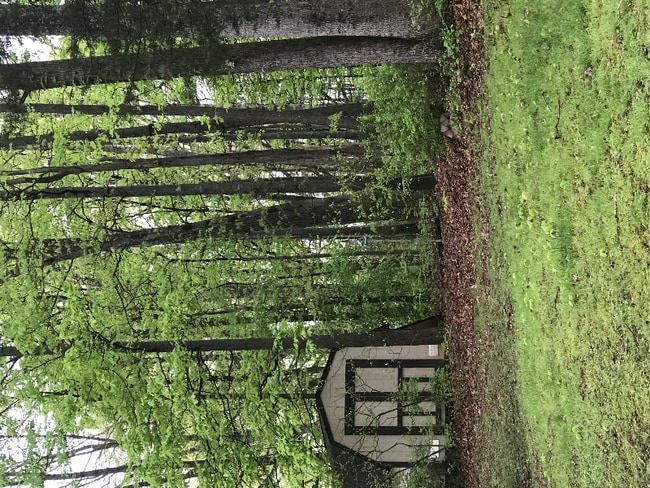 Photo - 611 Herron Rd House