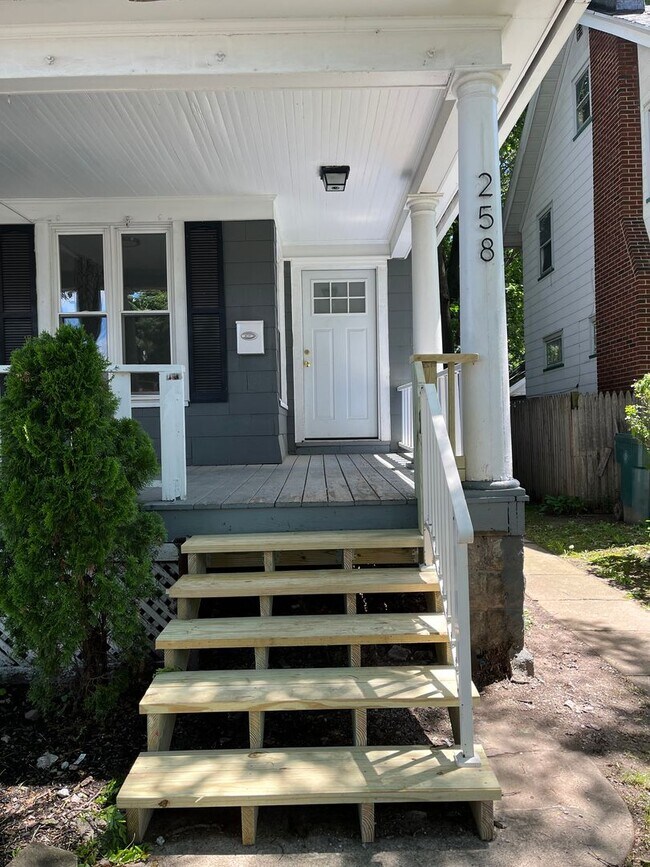 Foto del edificio - 256-258-258 Woodbine Ave