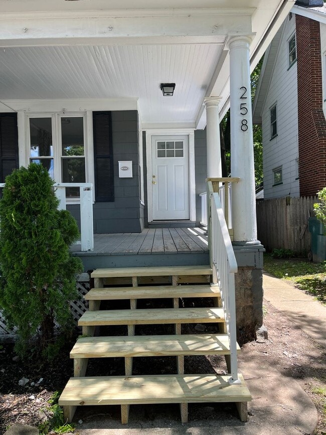 Building Photo - 256-258-258 Woodbine Ave