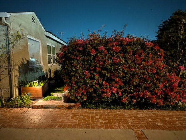 Building Photo - 5011 Stacy St