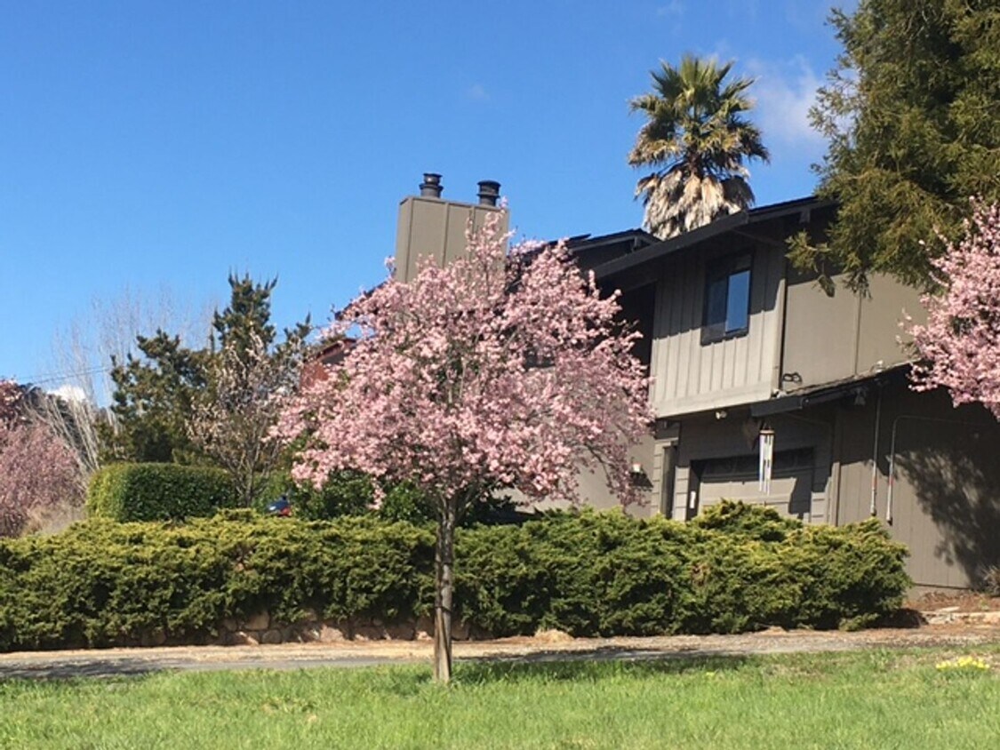 Primary Photo - Beautiful Country Living Home off Larkin V...