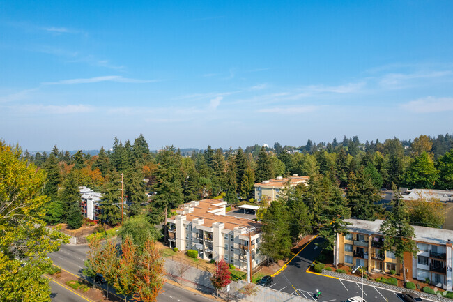 Building Photo - Village At Redondo Condominium