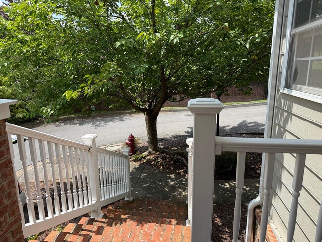 Building Photo - Beautiful Condo located in North Johnson City!
