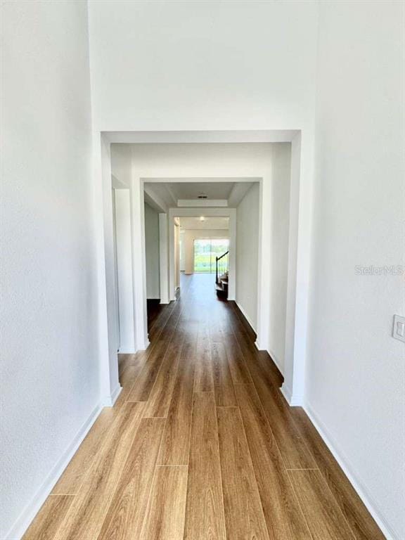 Foto del edificio - 214 Woodfall Ln