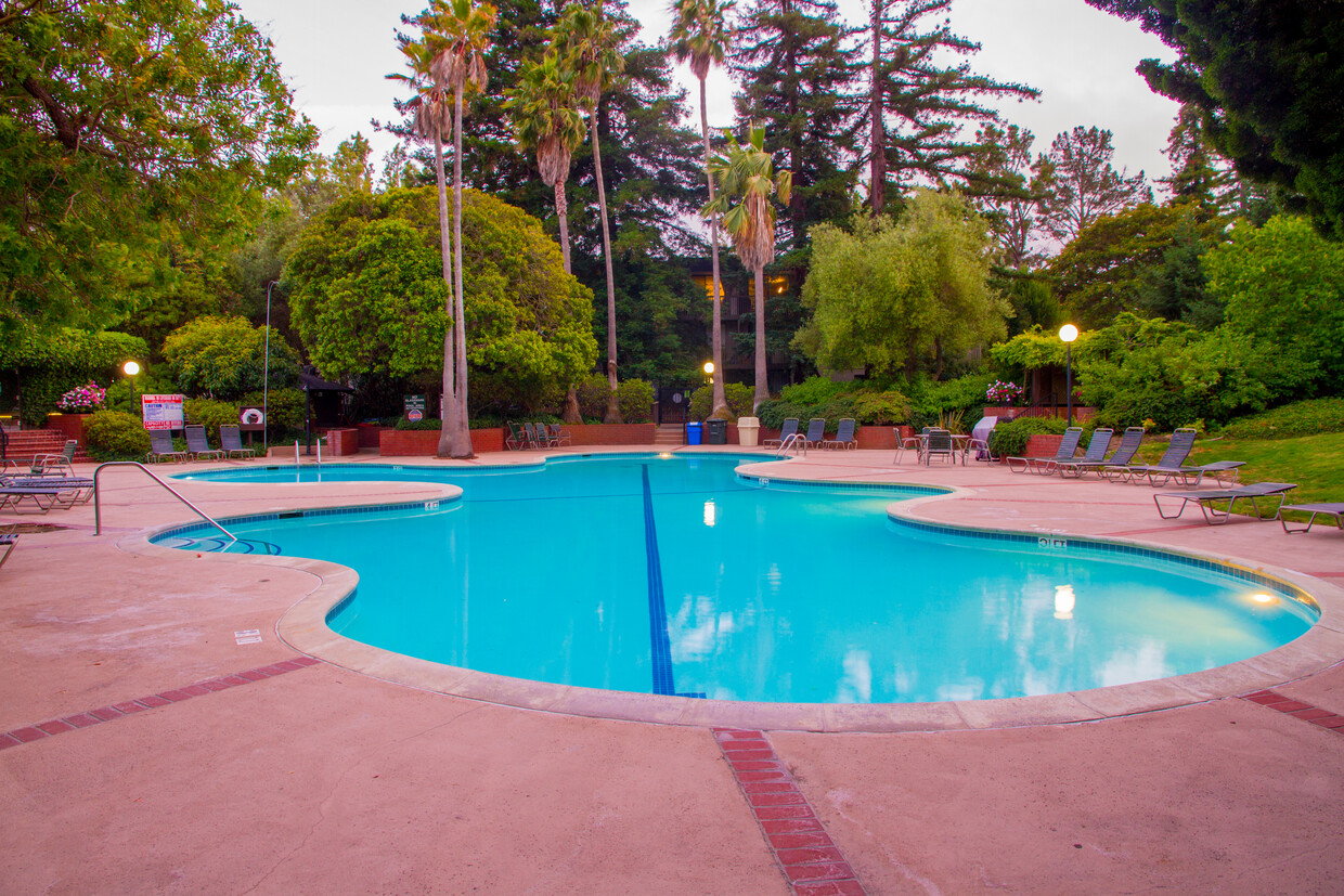 Main Pool - 6242 Shelter Creek Ln