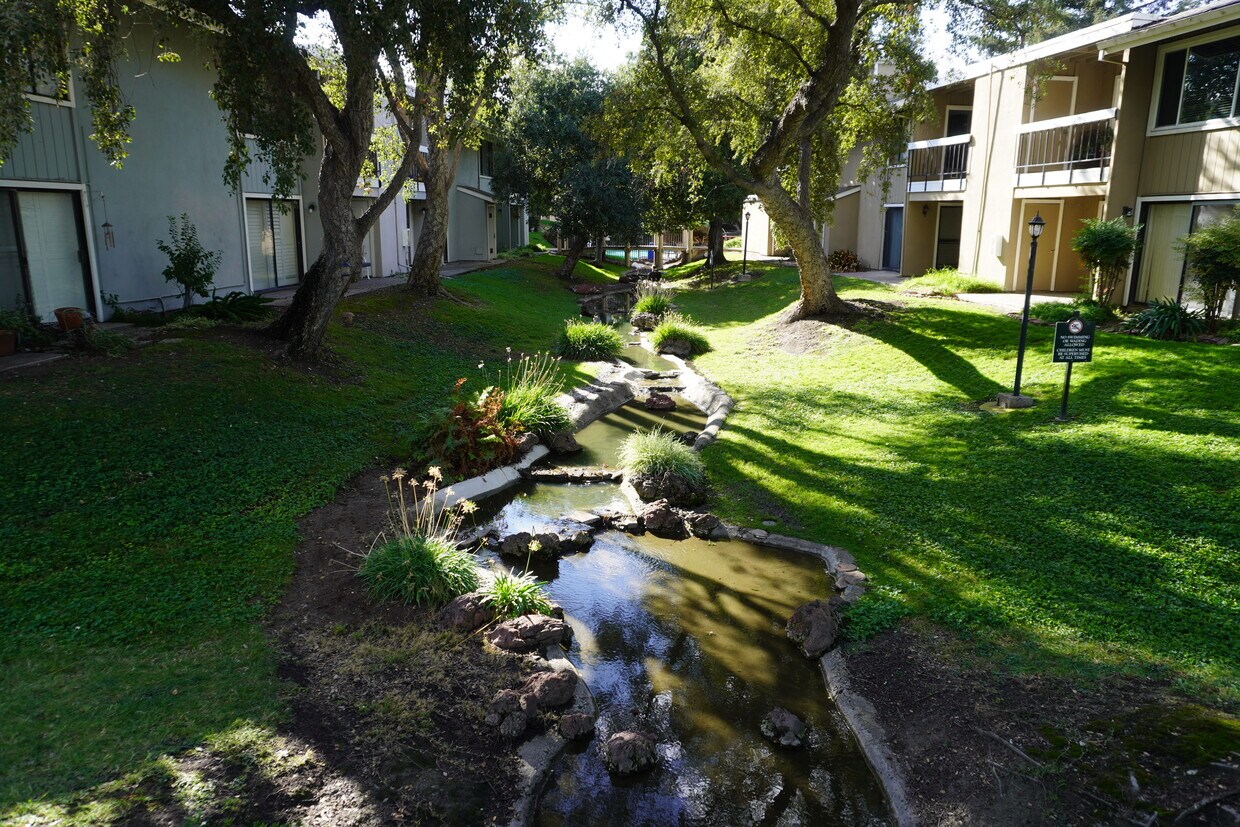 Fuente de agua en el patio trasero del área común - 6518 Embarcadero Dr