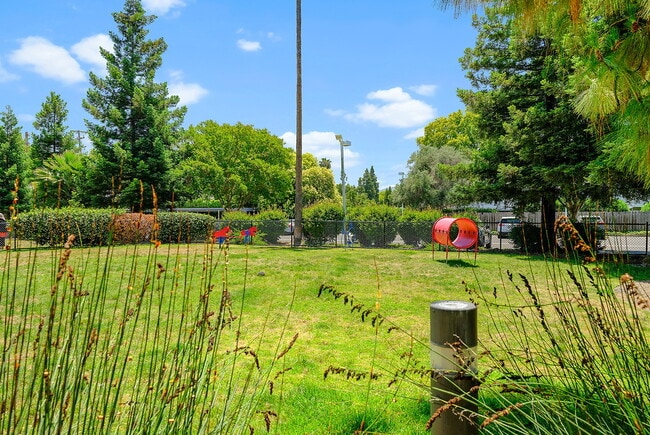 Building Photo - The Parc at Pruneyard