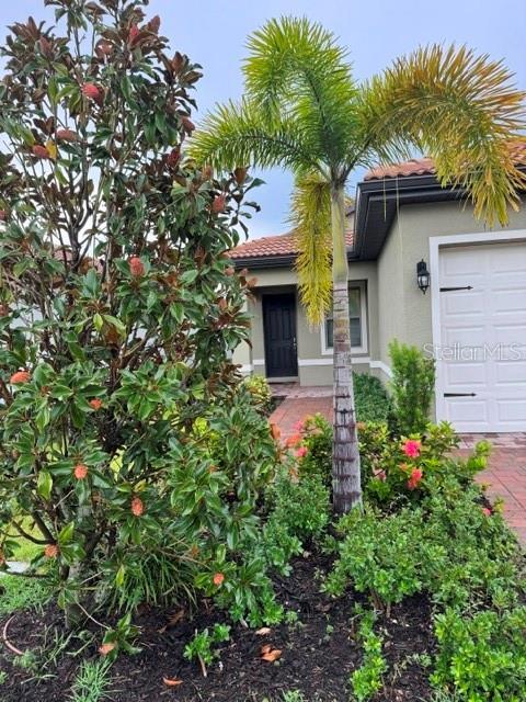 Foto del edificio - 109 Moscata Wy