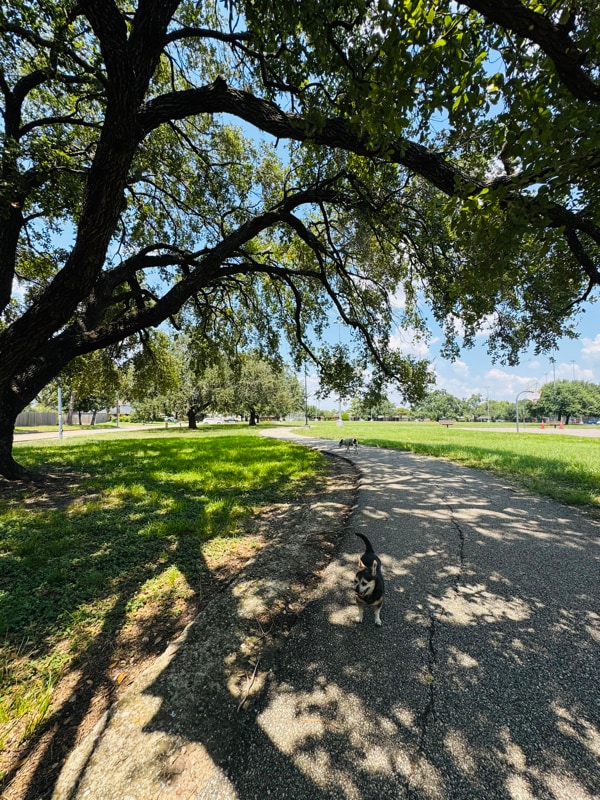 Building Photo - 4017 Osby Dr