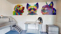 This single-floor pet grooming facility in Jacksonville, FL (32223) is designed to provide a functional yet cheerful environment for pet care. The space is immediately distinguished by its bold, eye-catching wall murals depicting colorfully rendered dogs and cats in a vivid pop-art style, lending the room a lively, welcoming atmosphere.

The grooming area is equipped with multiple professional-grade stainless steel bathing tubs and grooming tables, each accompanied by built-in sprayer attachments and non-slip step platforms for easy pet access. The walls are finished with clean white subway tile, offering a hygienic, easy-to-maintain surface throughout the workspace. Blue epoxy flooring completes the practical yet polished aesthetic.

Large, multi-pane windows flood the interior with natural light and provide views of the surrounding landscaped greenery. A wall-mounted climate control unit ensures comfortable conditions year-round. A green metal bench positioned beneath the windows offers a comfortable waiting area for pet owners.

The facility also features a wall-posted rules display, reinforcing its professional standards. Overall, the space balances practical grooming functionality with an inviting, pet-friendly ambiance suited to its Jacksonville location.